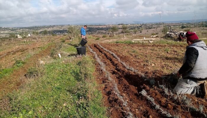 2019 Riproduzione lavanda con Emanuele e Stefano